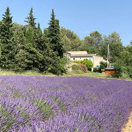 Willa Maison Au Colorado Provencal Rustrel Zewnętrze zdjęcie