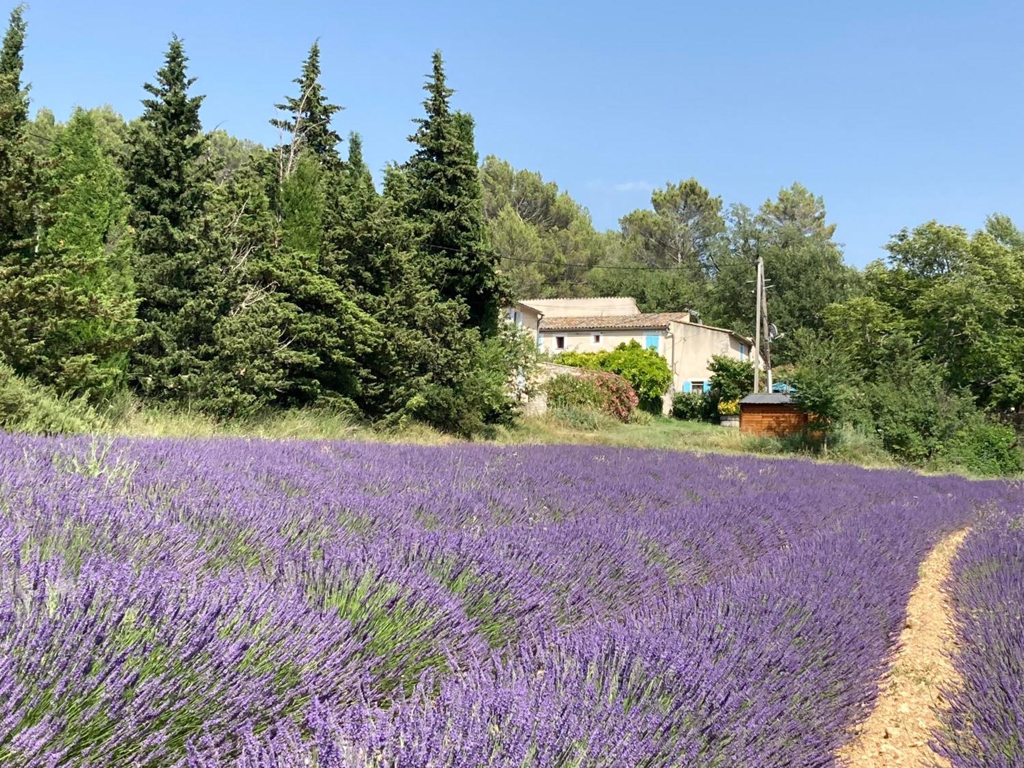 Willa Maison Au Colorado Provencal Rustrel Zewnętrze zdjęcie